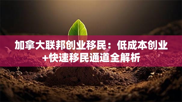 加拿大联邦创业移民：低成本创业+快速移民通道全解析