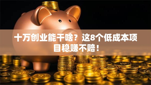 十万创业能干啥？这8个低成本项目稳赚不赔！
