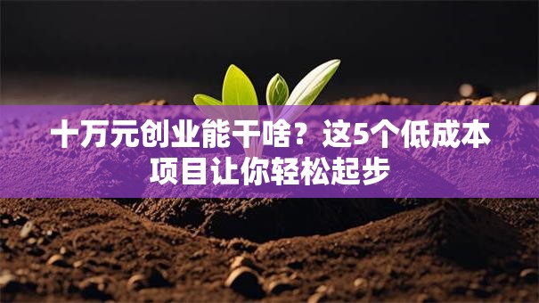 十万元创业能干啥？这5个低成本项目让你轻松起步