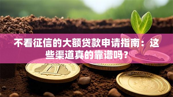 不看征信的大额贷款申请指南：这些渠道真的靠谱吗？