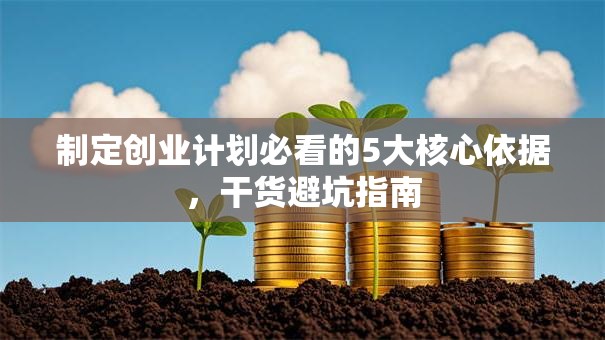 制定创业计划必看的5大核心依据，干货避坑指南