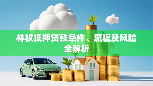 林权抵押贷款条件、流程及风险全解析