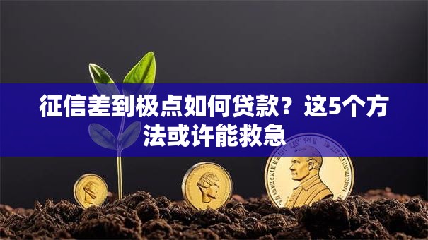征信差到极点如何贷款？这5个方法或许能救急
