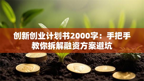创新创业计划书2000字:手把手教你拆解融资方案避坑 创新创业计划书2000字:手把手教你拆解融资方案避坑