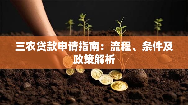 三农贷款申请指南：流程、条件及政策解析