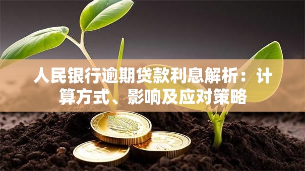 人民银行逾期贷款利息解析：计算方式、影响及应对策略