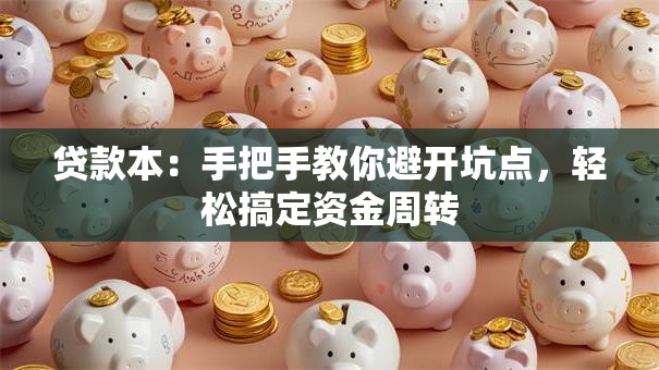 贷款本：手把手教你避开坑点，轻松搞定资金周转