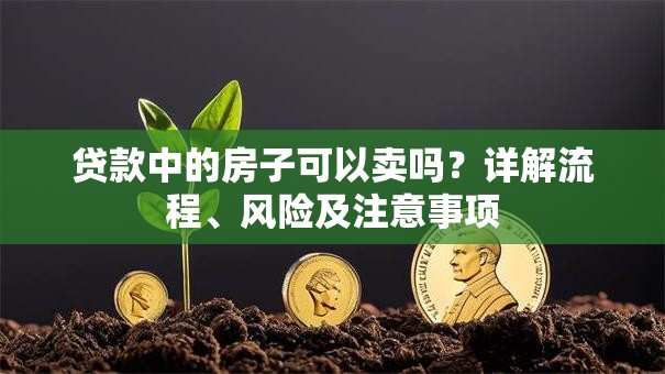 贷款中的房子可以卖吗？详解流程、风险及注意事项