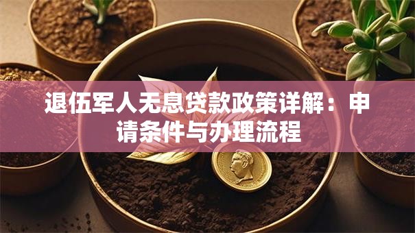 退伍军人无息贷款政策详解：申请条件与办理流程