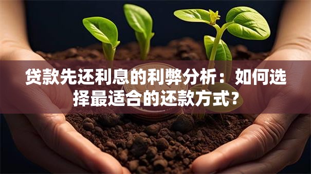 贷款先还利息的利弊分析：如何选择最适合的还款方式？