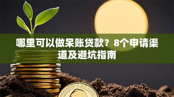 哪里可以做呆账贷款？8个申请渠道及避坑指南