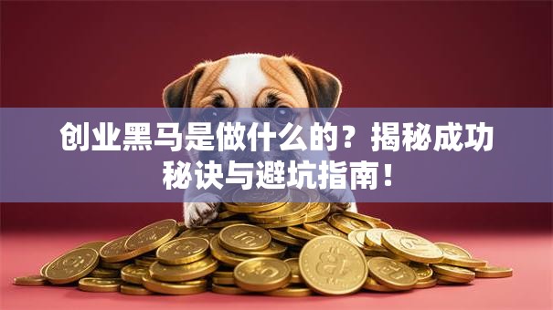 创业黑马是做什么的？揭秘成功秘诀与避坑指南！