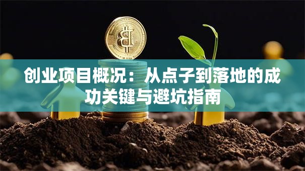 创业项目概况：从点子到落地的成功关键与避坑指南
