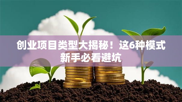 创业项目类型大揭秘！这6种模式新手必看避坑