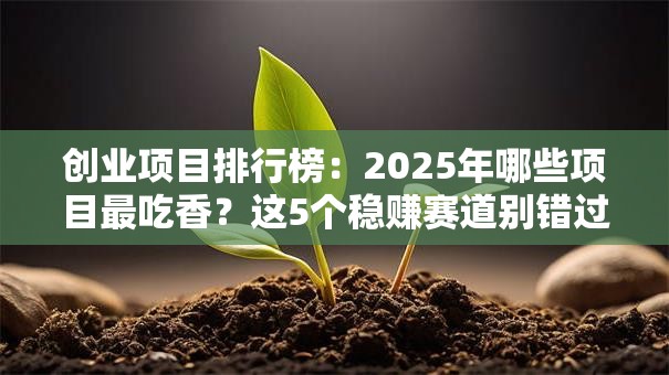 创业项目排行榜：2025年哪些项目最吃香？这5个稳赚赛道别错过！