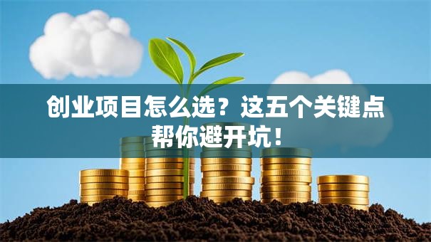 创业项目怎么选？这五个关键点帮你避开坑！