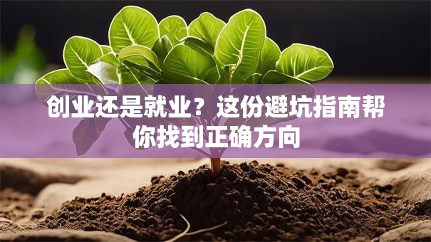创业还是就业？这份避坑指南帮你找到正确方向