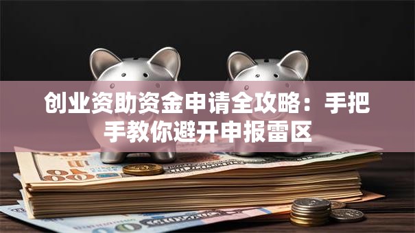 创业资助资金申请全攻略：手把手教你避开申报雷区