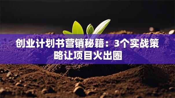 创业计划书营销秘籍：3个实战策略让项目火出圈