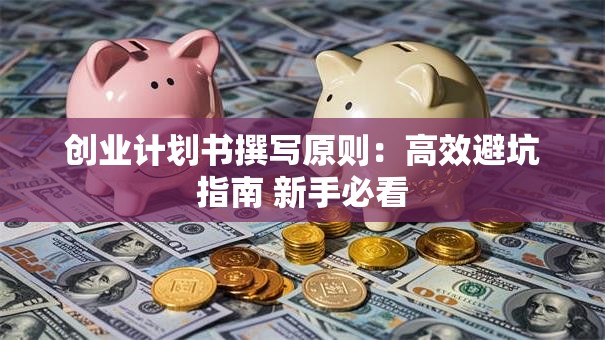 创业计划书撰写原则：高效避坑指南 新手必看