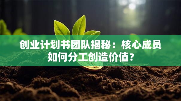 创业计划书团队揭秘：核心成员如何分工创造价值？
