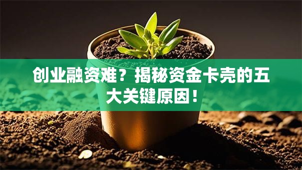 创业融资难？揭秘资金卡壳的五大关键原因！