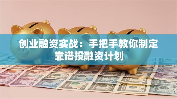 创业融资实战：手把手教你制定靠谱投融资计划