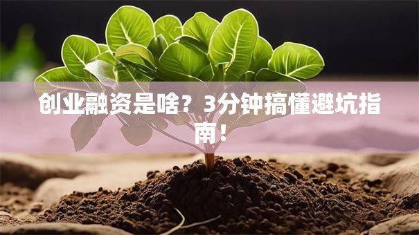 创业融资是啥？3分钟搞懂避坑指南！