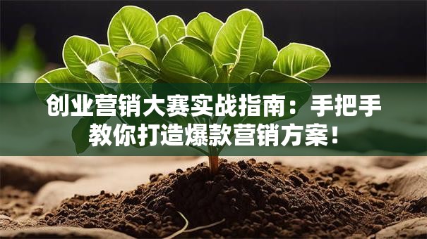 创业营销大赛实战指南：手把手教你打造爆款营销方案！