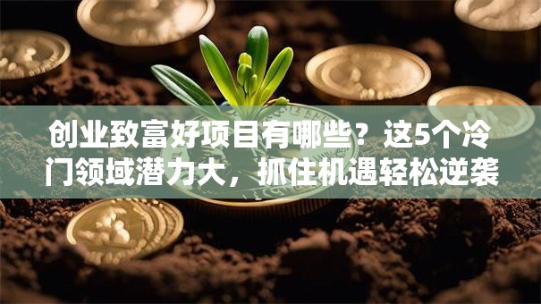 创业致富好项目有哪些？这5个冷门领域潜力大，抓住机遇轻松逆袭！