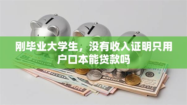 刚毕业大学生，没有收入证明只用户口本能贷款吗