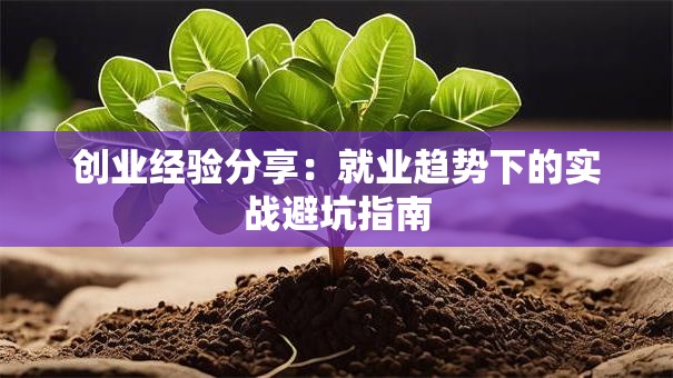 创业经验分享：就业趋势下的实战避坑指南