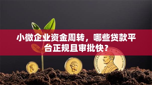 小微企业资金周转，哪些贷款平台正规且审批快？