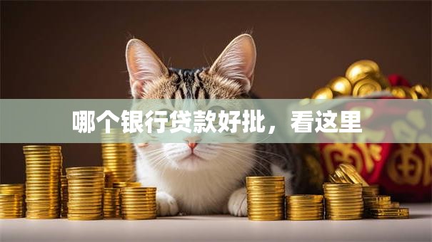 哪个银行贷款好批，看这里