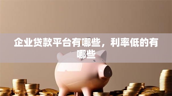 企业贷款平台有哪些，利率低的有哪些