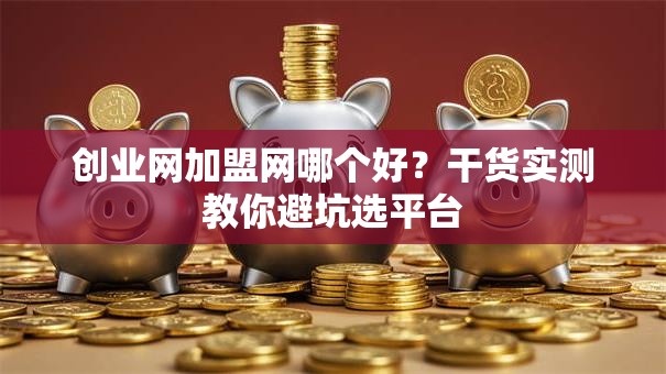 创业网加盟网哪个好？干货实测教你避坑选平台