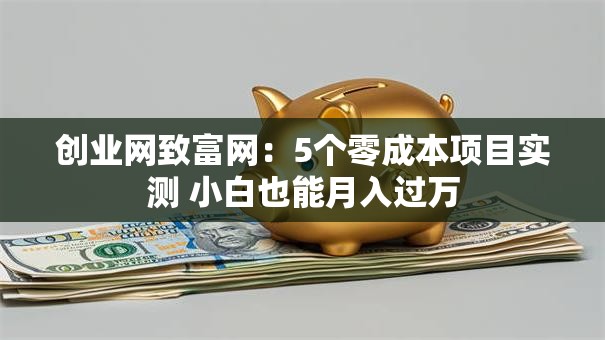 创业网致富网：5个零成本项目实测 小白也能月入过万