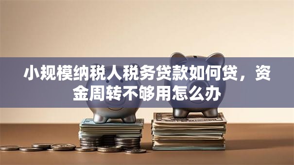小规模纳税人税务贷款如何贷，资金周转不够用怎么办