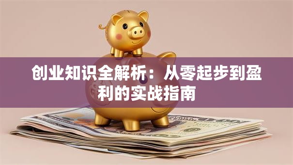 创业知识全解析：从零起步到盈利的实战指南
