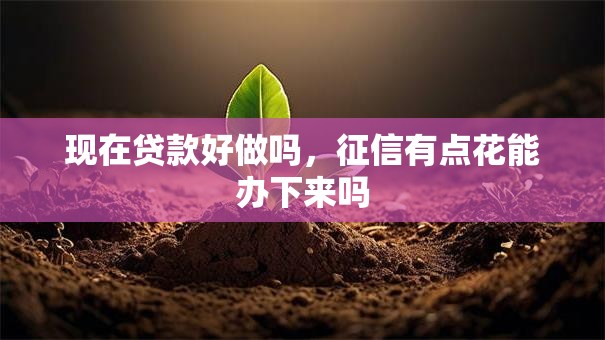 现在贷款好做吗，征信有点花能办下来吗