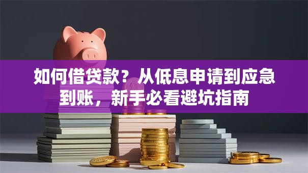 如何借贷款？从低息申请到应急到账，新手必看避坑指南