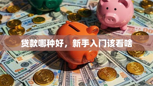 贷款哪种好，新手入门该看啥