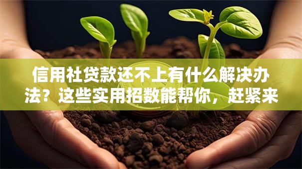 信用社贷款还不上有什么解决办法？这些实用招数能帮你，赶紧来看！