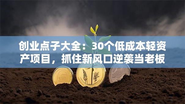 创业点子大全：30个低成本轻资产项目，抓住新风口逆袭当老板！