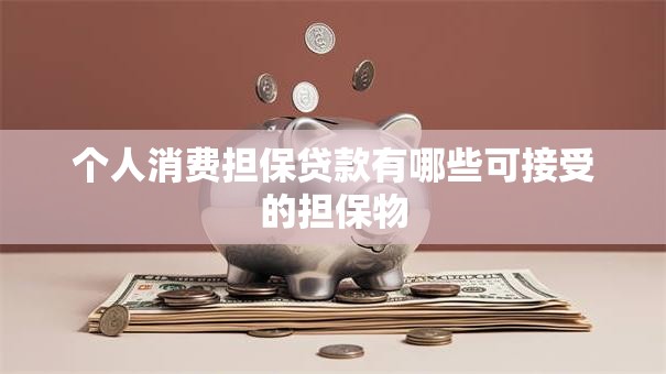 个人消费担保贷款有哪些可接受的担保物