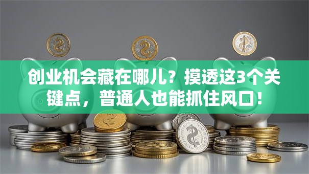 创业机会藏在哪儿？摸透这3个关键点，普通人也能抓住风口！
