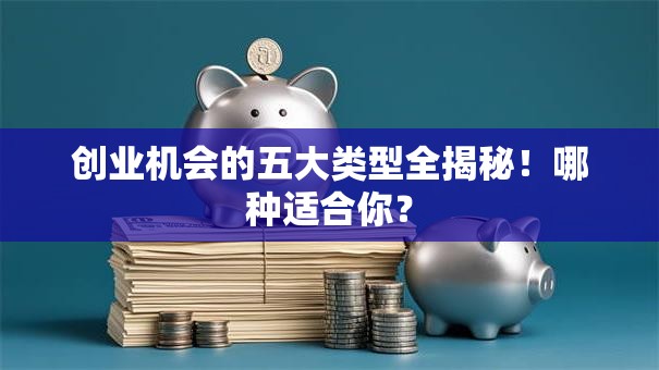 创业机会的五大类型全揭秘！哪种适合你？