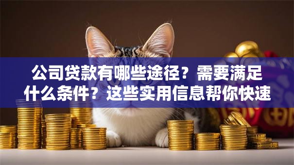 公司贷款有哪些途径？需要满足什么条件？这些实用信息帮你快速搞明白！