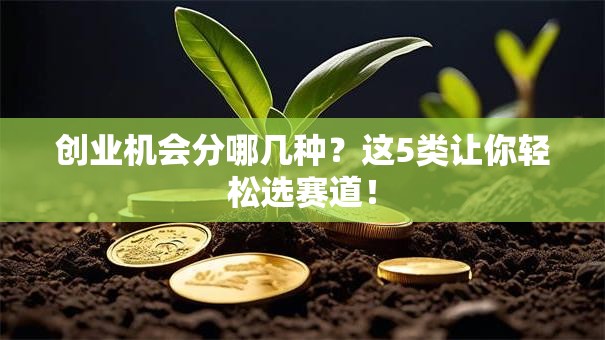 创业机会分哪几种？这5类让你轻松选赛道！