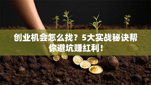 创业机会怎么找？5大实战秘诀帮你避坑赚红利！